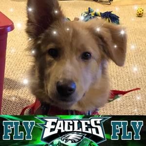 Meet your Posher, Bridget